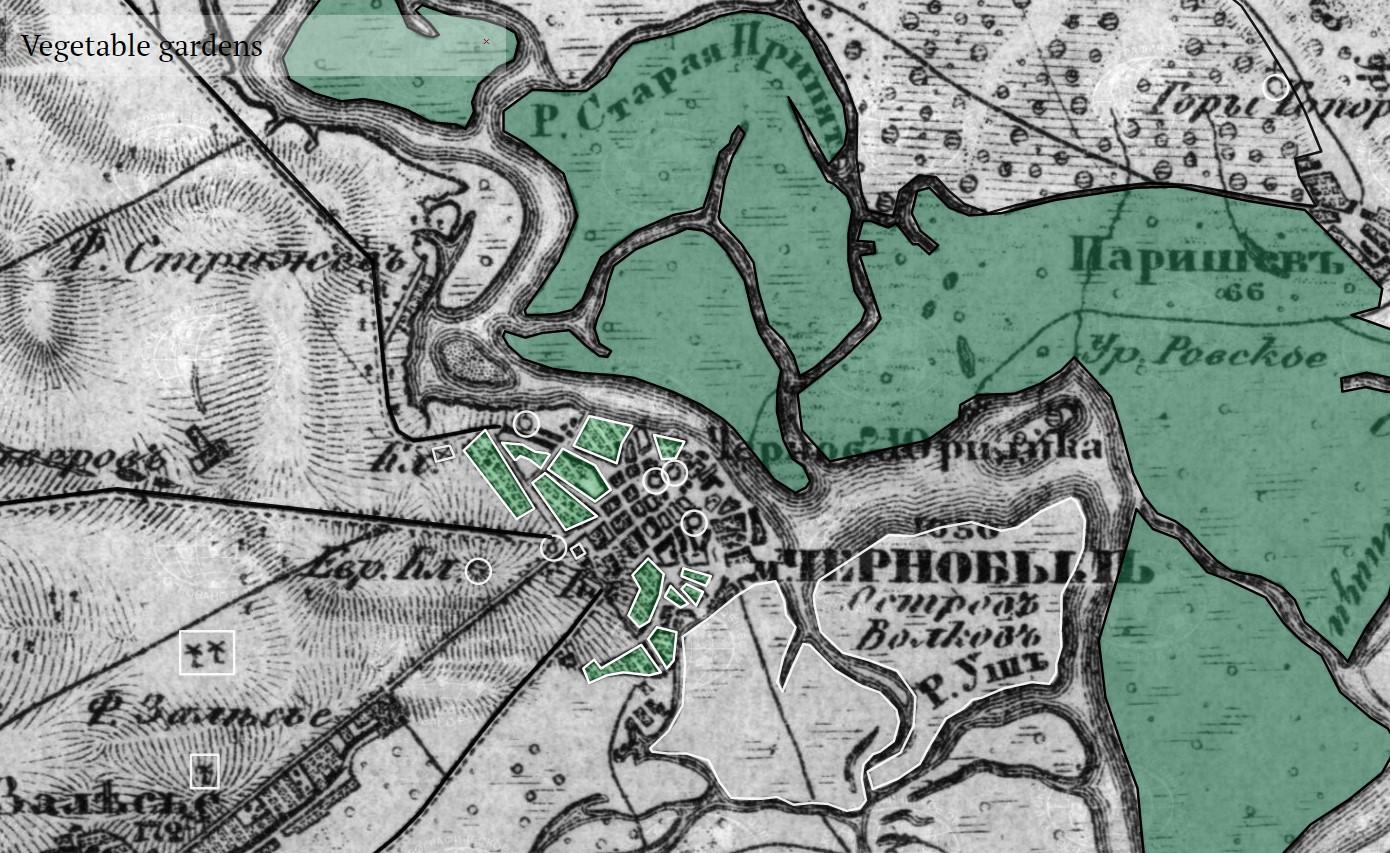 black and white map showing built and natural elements, with Pripyat River running through the center