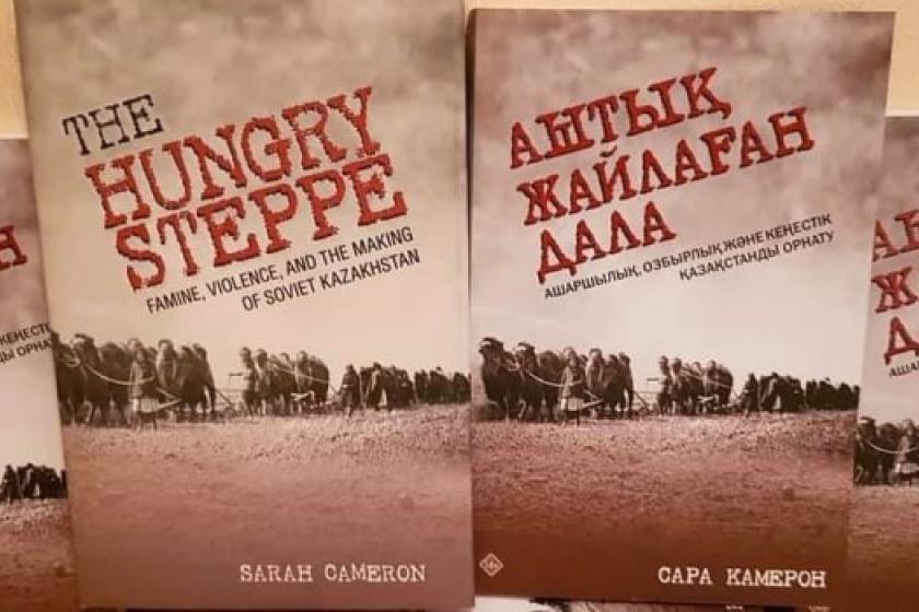 Book cover of The Hungry Steppe in English and Russian