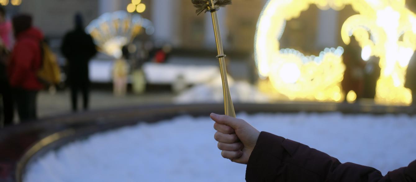 golden toilet brush, used as a protest symbol