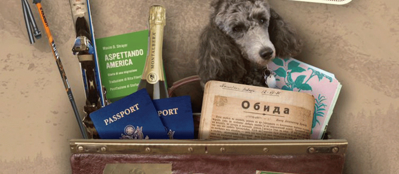 an image of the bag stuffed with passports, dog, notebooks