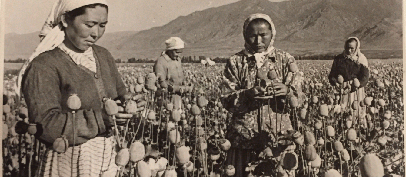 black and white phot of women in poppy field