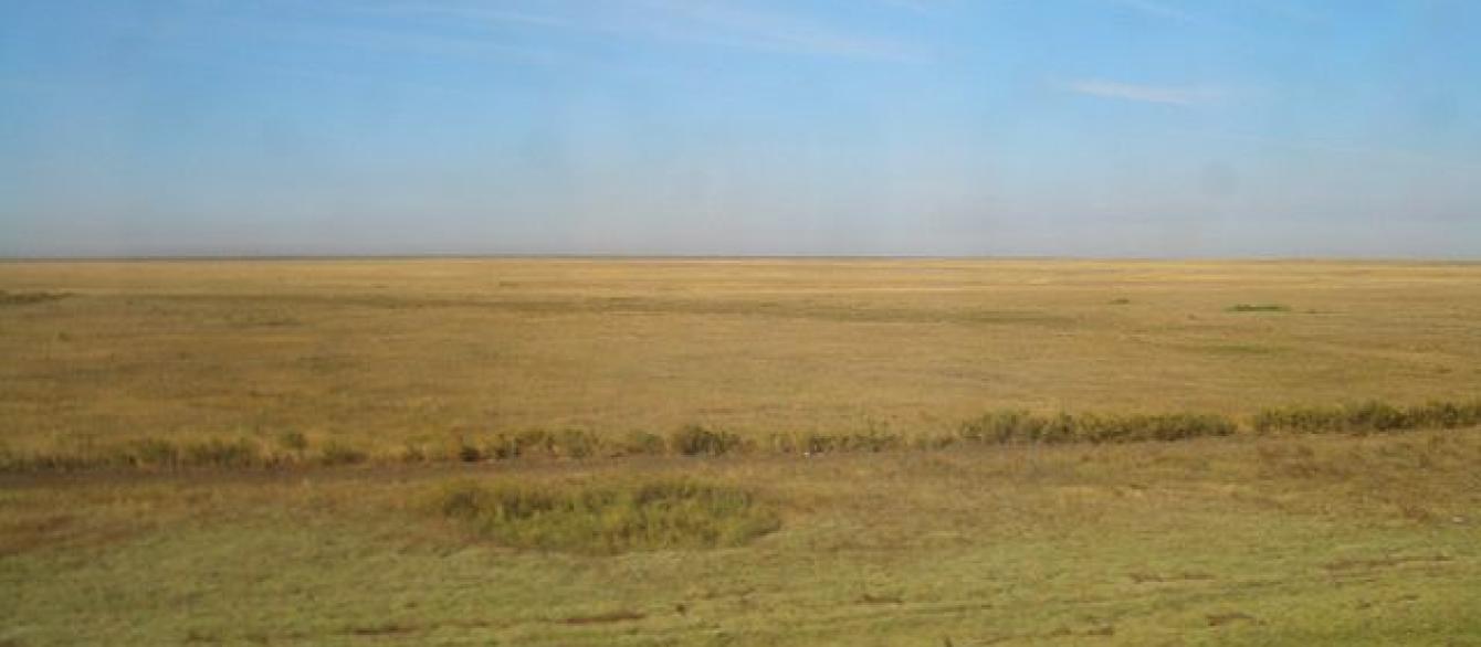 Picture of Astana Steppe