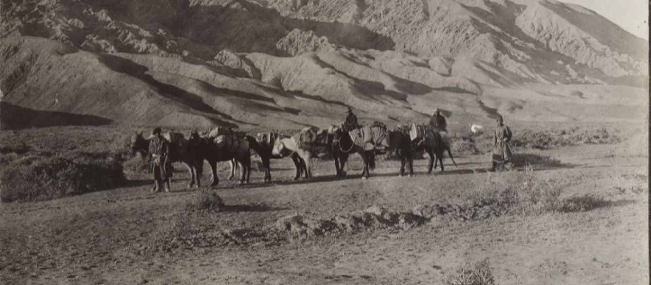 Caravan of horses halted with hills rising in the background