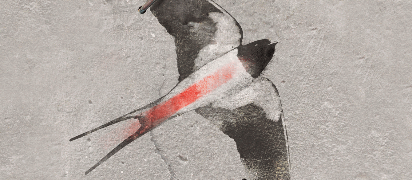 The movie poster for "Under The Grey Sky," a sketch of a bird on a gray background