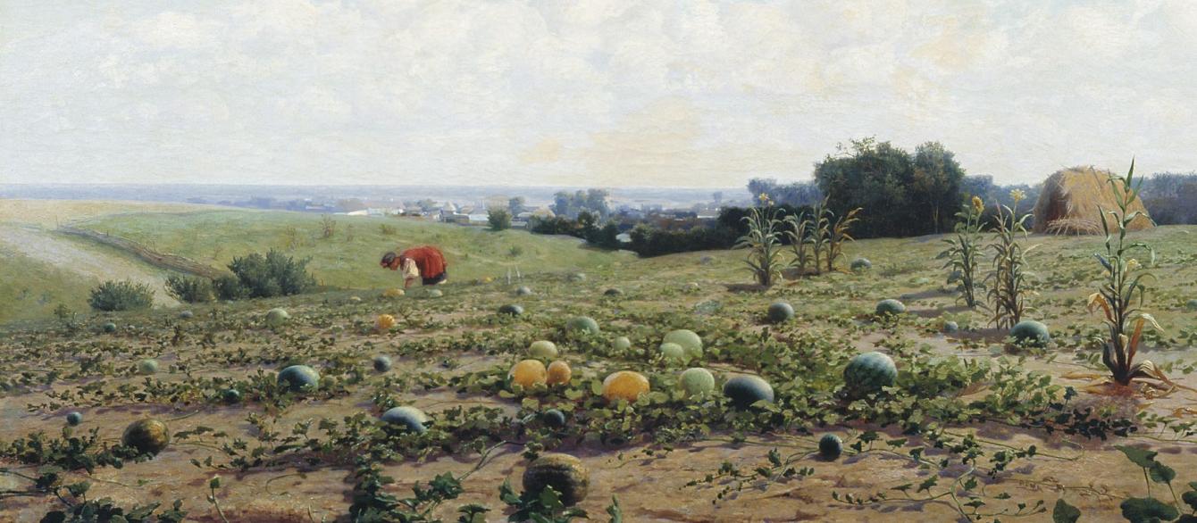 Watermelon Plantation