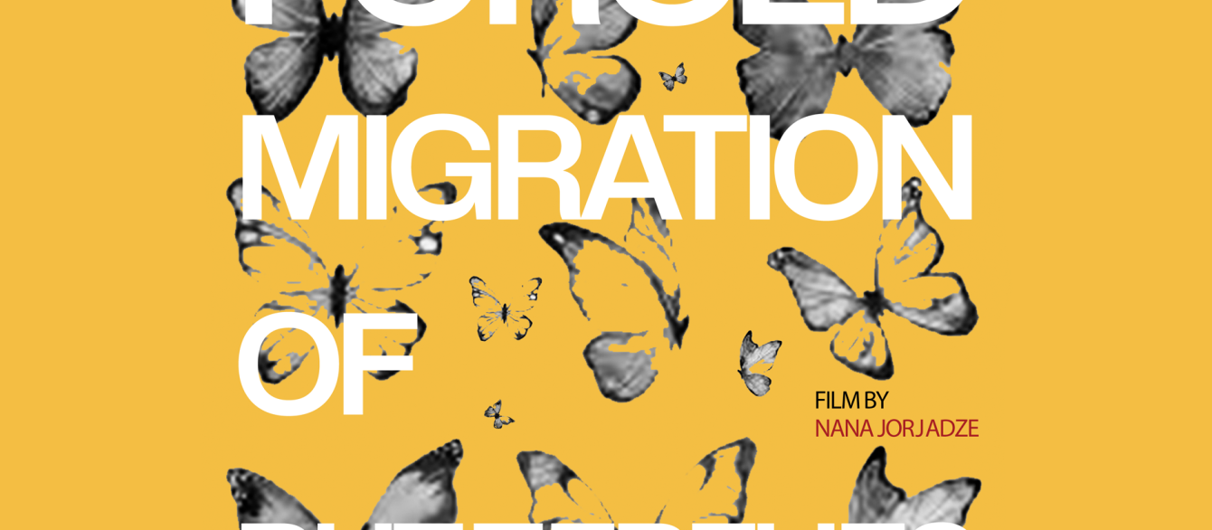 Film poster for The Forced Migration of Butterflies with a lively yellow background and gray butterflies behind the text.