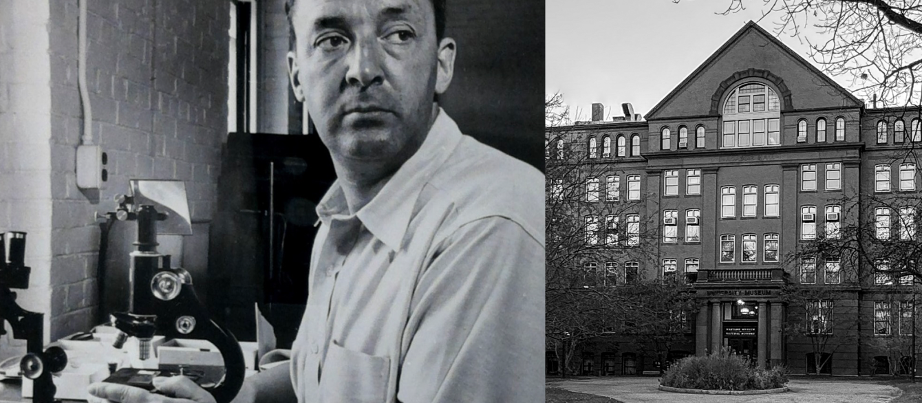 Vladimir Nabokov at Harvard’s Museum of Comparative Zoology, circa 1945-46. Courtesy of the Berg Collection of American Literature, New York Public Library. ]