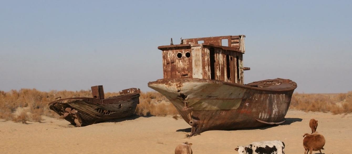 Dried Aral Sea with ship wreck and grazing animals