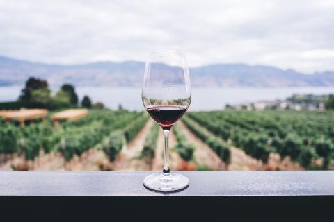 The History and Politics of Georgian Wine - Vimarsana News