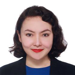Aynur Abish