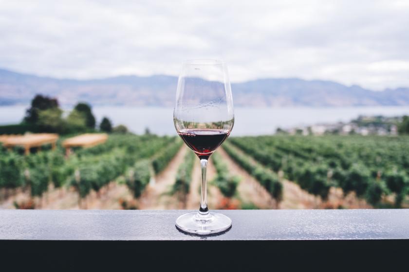 a glass of wine with a vineyard in the background