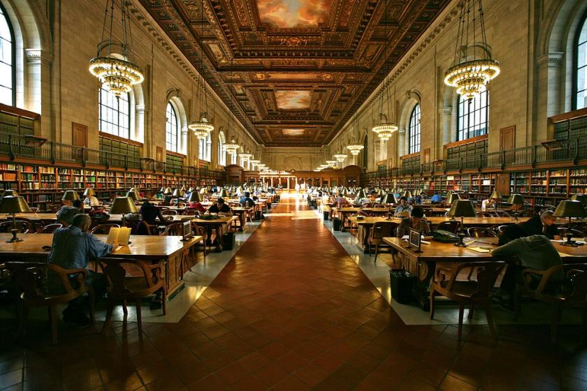 studying at New York Public Library