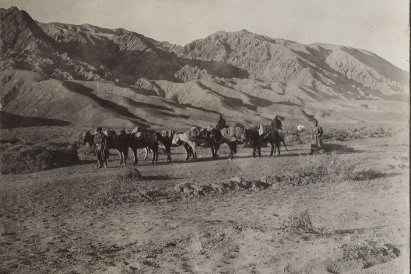 Caravan of horses halted with hills rising in the background
