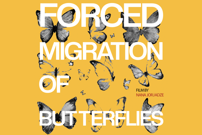 Film poster for The Forced Migration of Butterflies with a lively yellow background and gray butterflies behind the text.